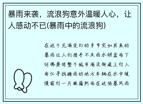 暴雨来袭，流浪狗意外温暖人心，让人感动不已(暴雨中的流浪狗)