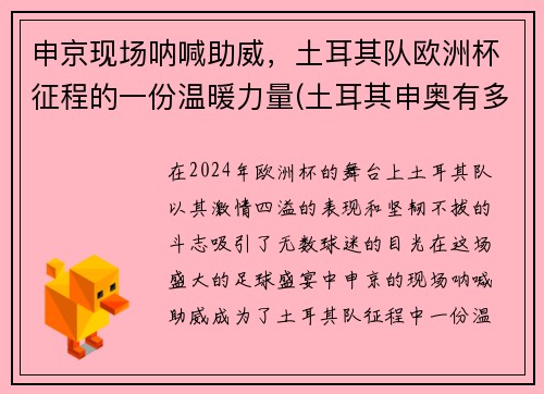 申京现场呐喊助威，土耳其队欧洲杯征程的一份温暖力量(土耳其申奥有多难)