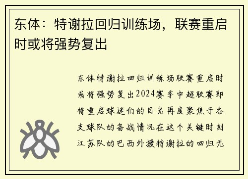 东体：特谢拉回归训练场，联赛重启时或将强势复出