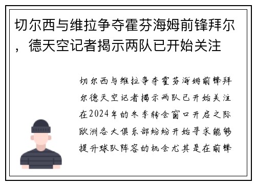 切尔西与维拉争夺霍芬海姆前锋拜尔，德天空记者揭示两队已开始关注